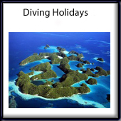 Diving Trips